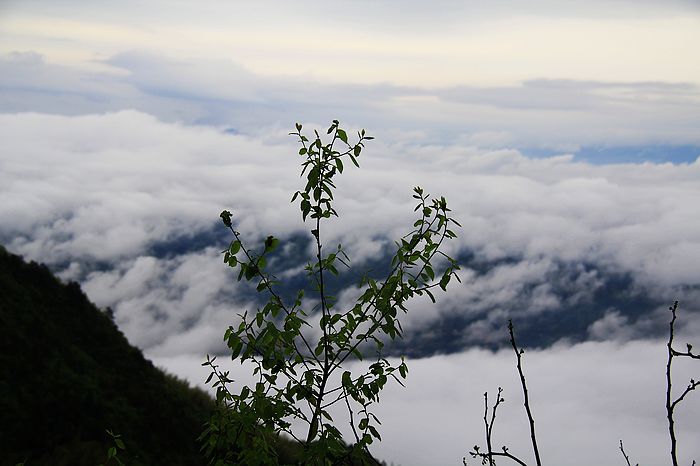 _mg_4779.jpg