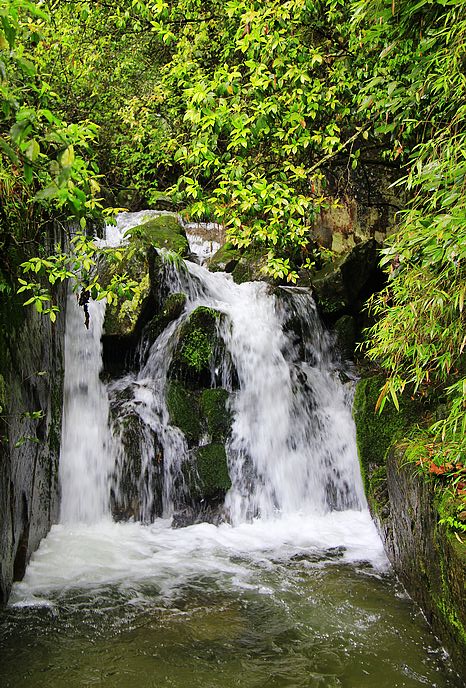_mg_4800.jpg