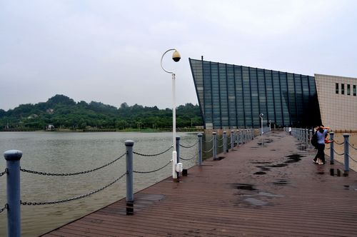 dsc_8293.jpg