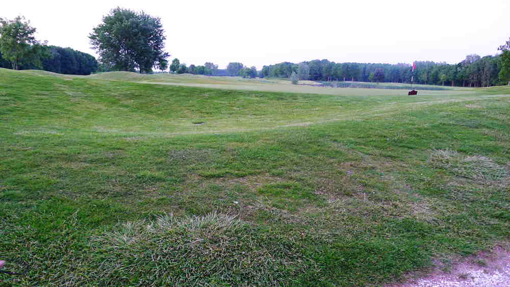 p1010859_.jpg