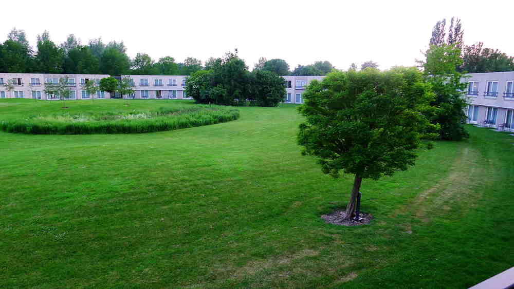 p1010847_.jpg