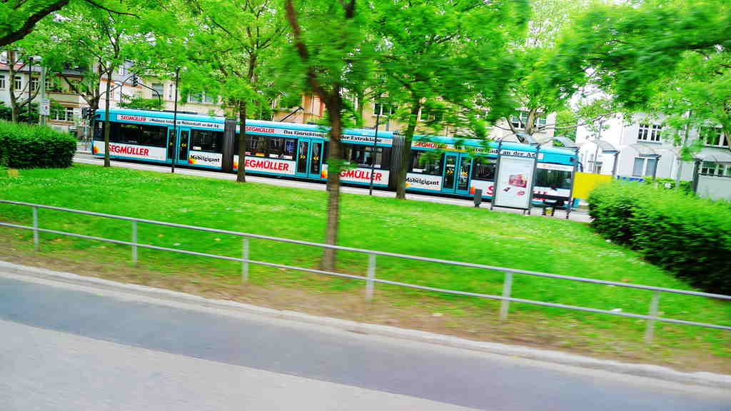 p1010889_.jpg