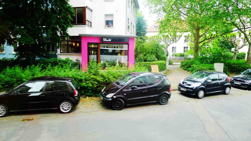 p1010890_.jpg