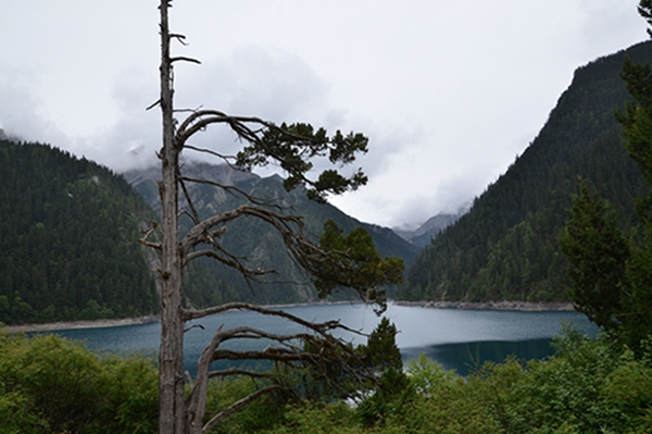 dsc_4436.jpg