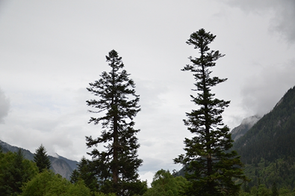 dsc_4438.jpg