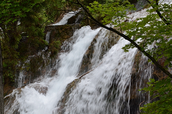 dsc_4478.jpg