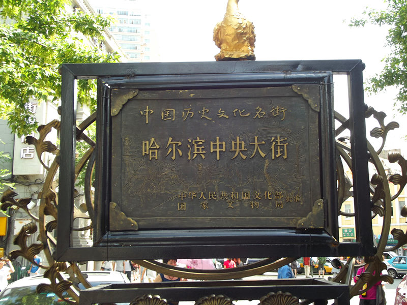 dscf2430_.jpg