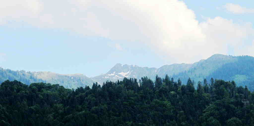 img_6691_.jpg