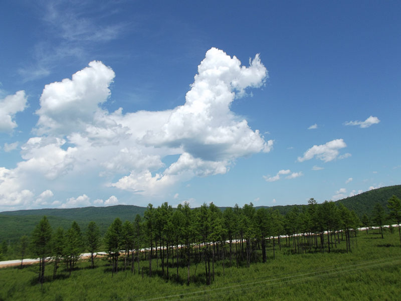 dscf2771_.jpg