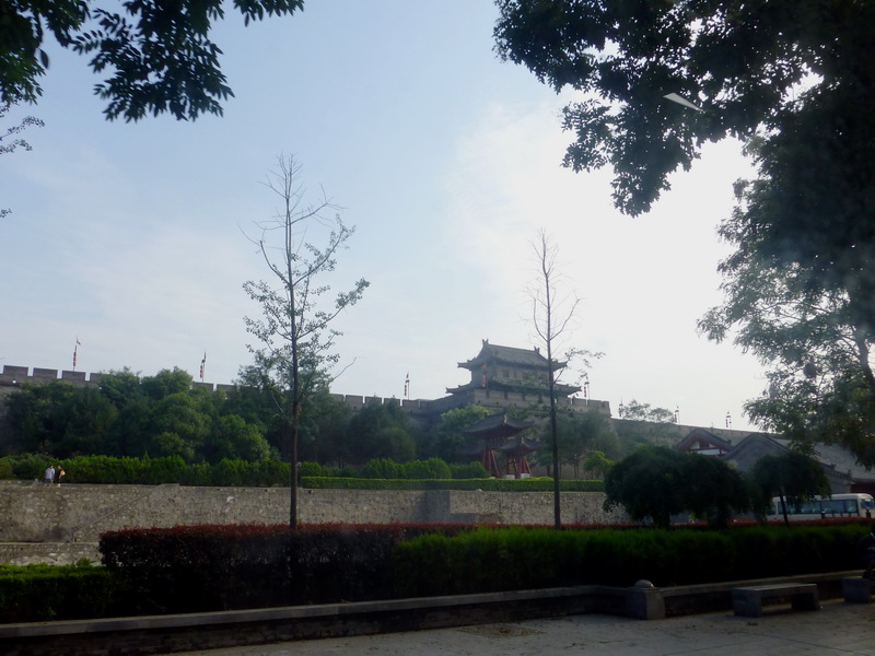 p1090788.jpg