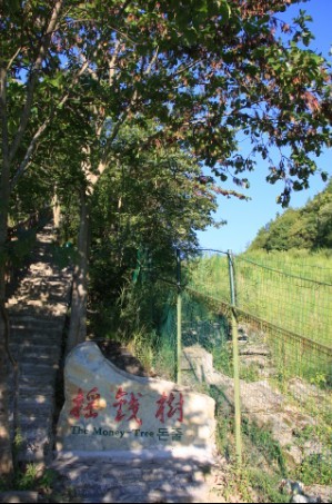 qqͼƬ20130830180043.jpg