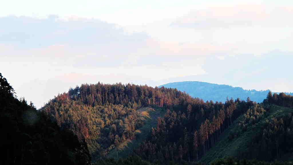 img_7028_.jpg