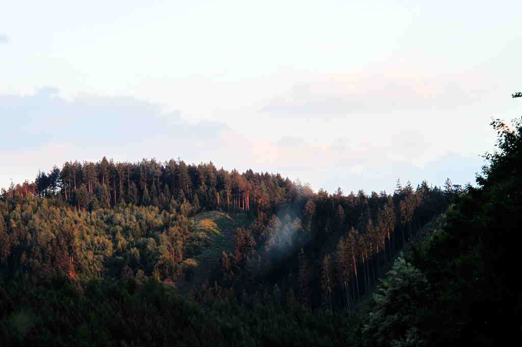 img_7030_.jpg