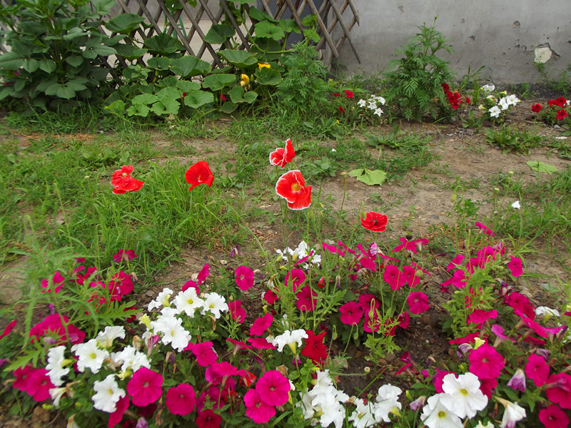 dscf2823_.jpg