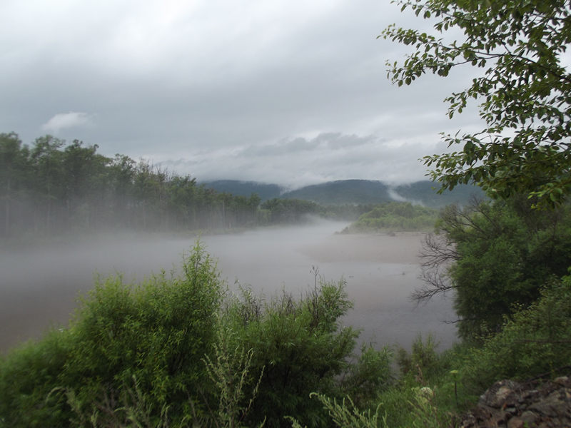 dscf2905_.jpg