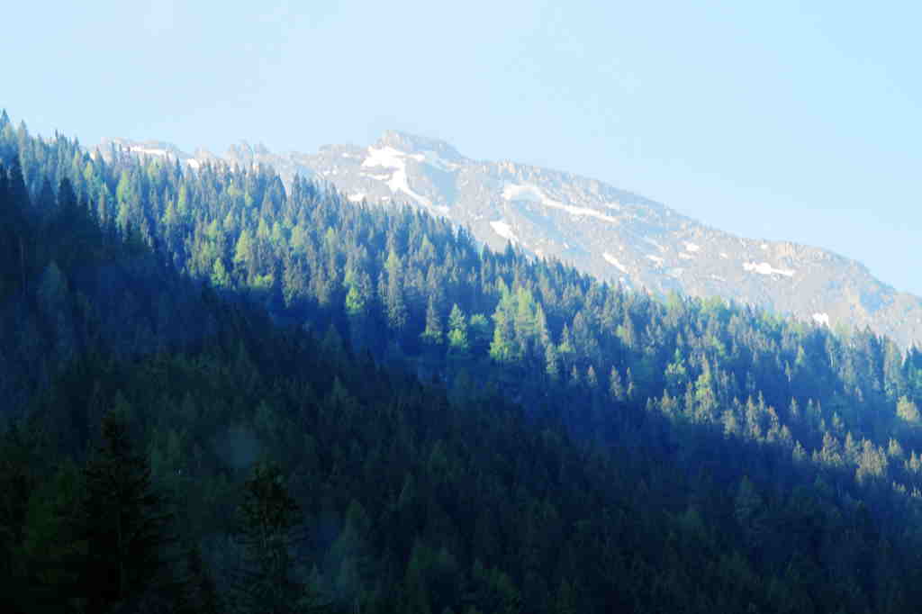 img_7310_.jpg