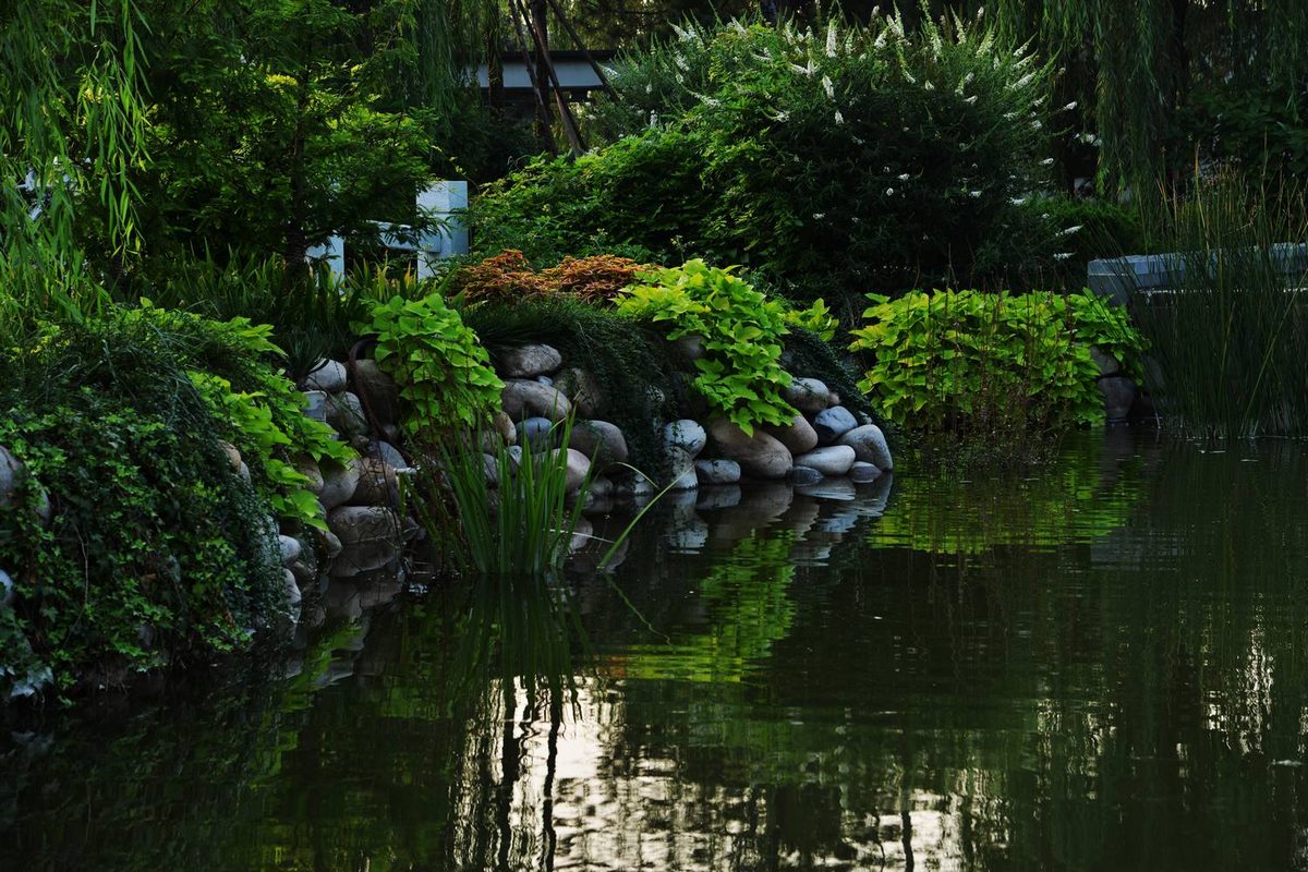 dsc_8964.jpg