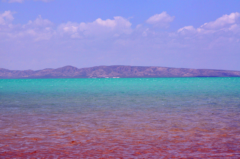dsc_0591_.jpg
