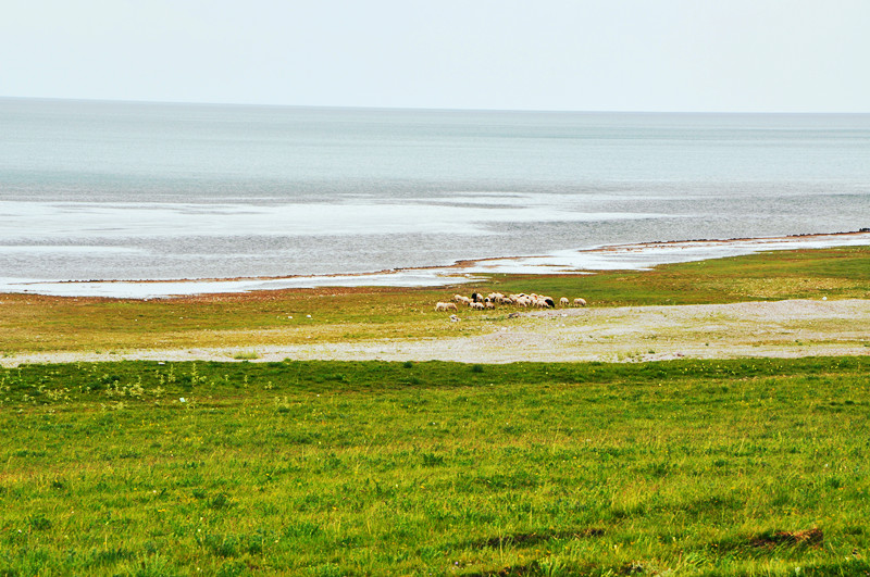 dsc_0575_.jpg