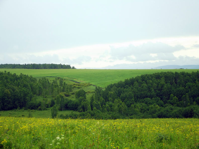 dscf3159_.jpg