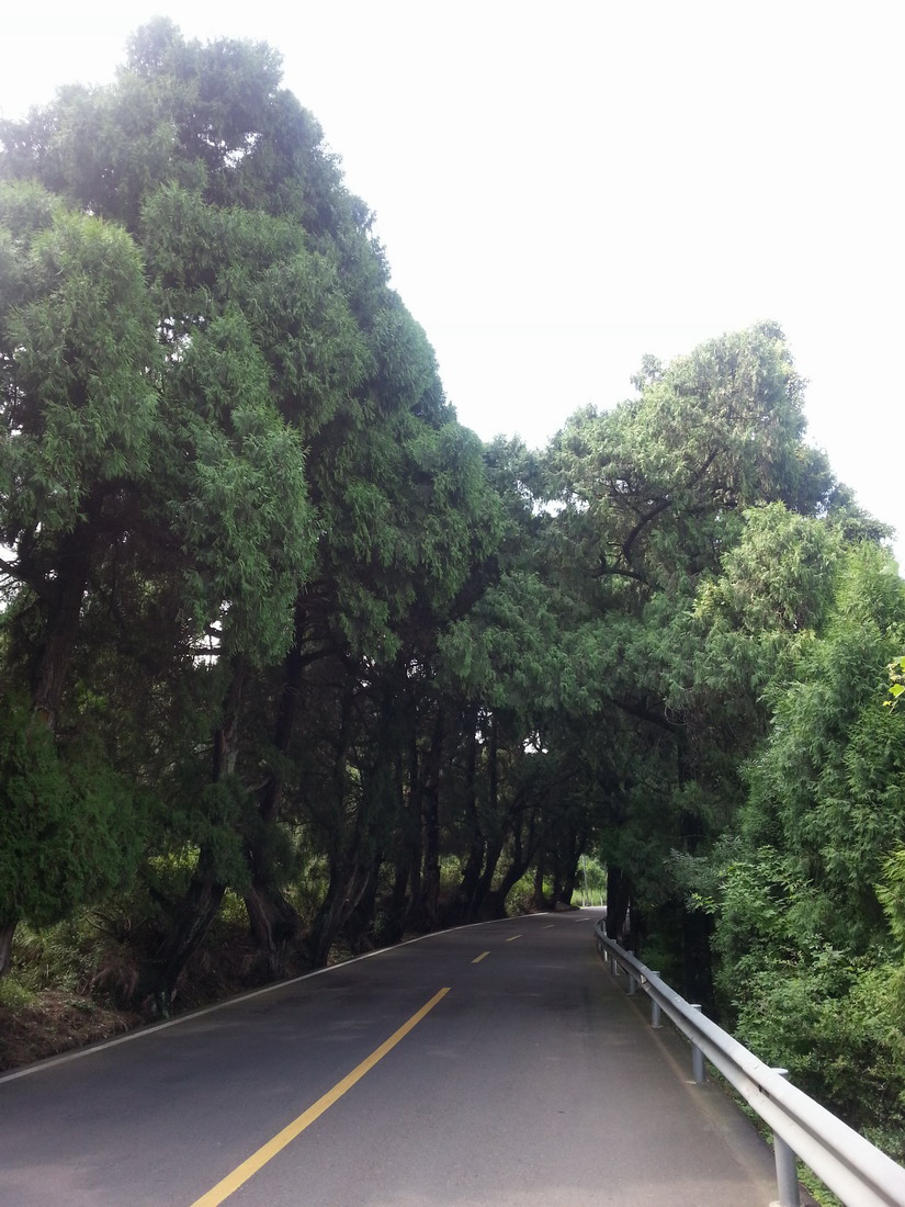 20130809_103903-1.jpg