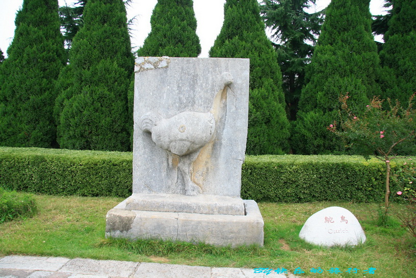 2419.jpg