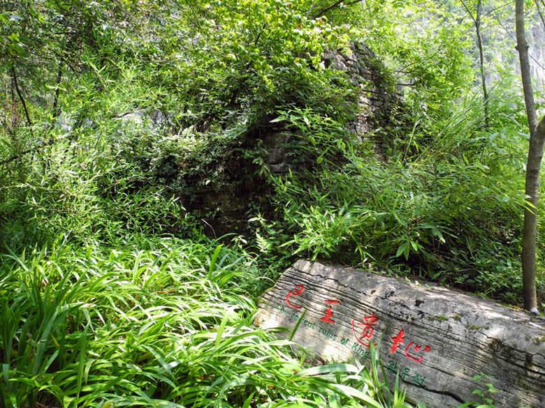 z9.jpg