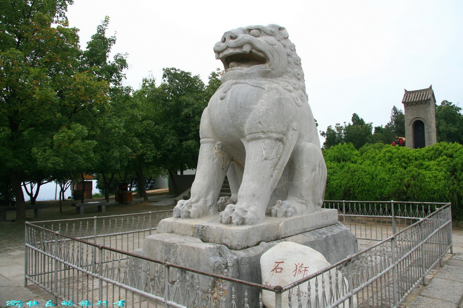2440.jpg