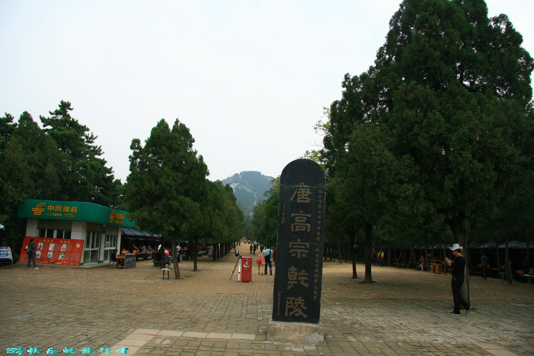 2448.jpg