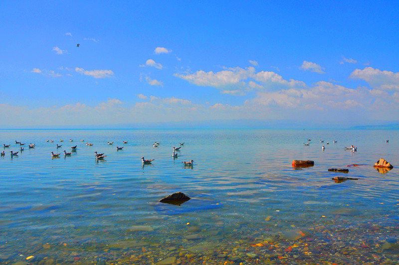 dsc_0547_.jpg
