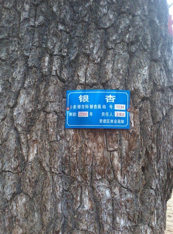ת 0002.jpg