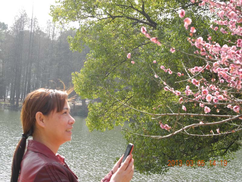 DSCN4495.JPG