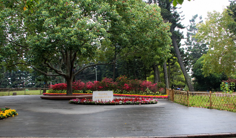 IMG_0775_СС.jpg