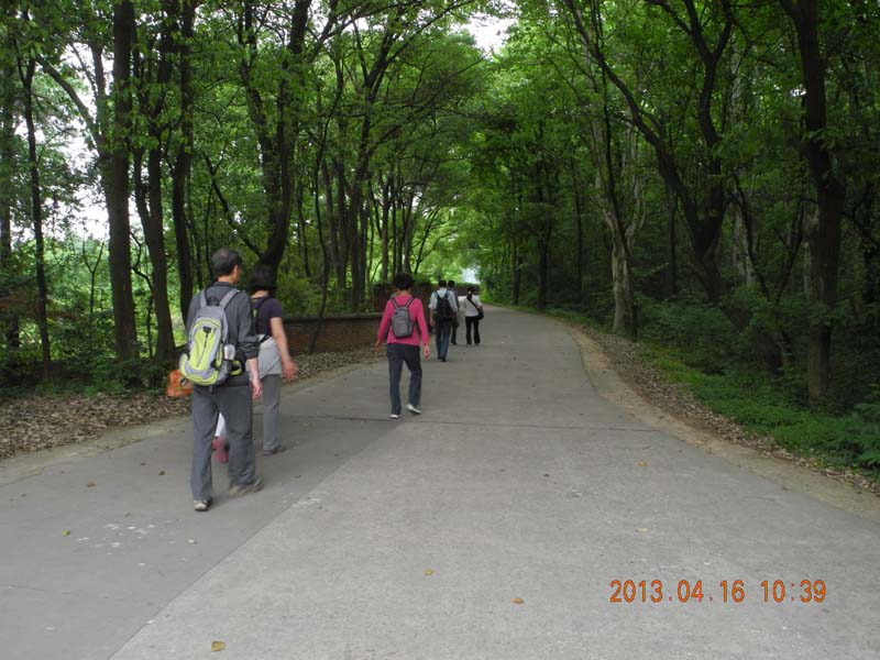 DSCN6617.JPG