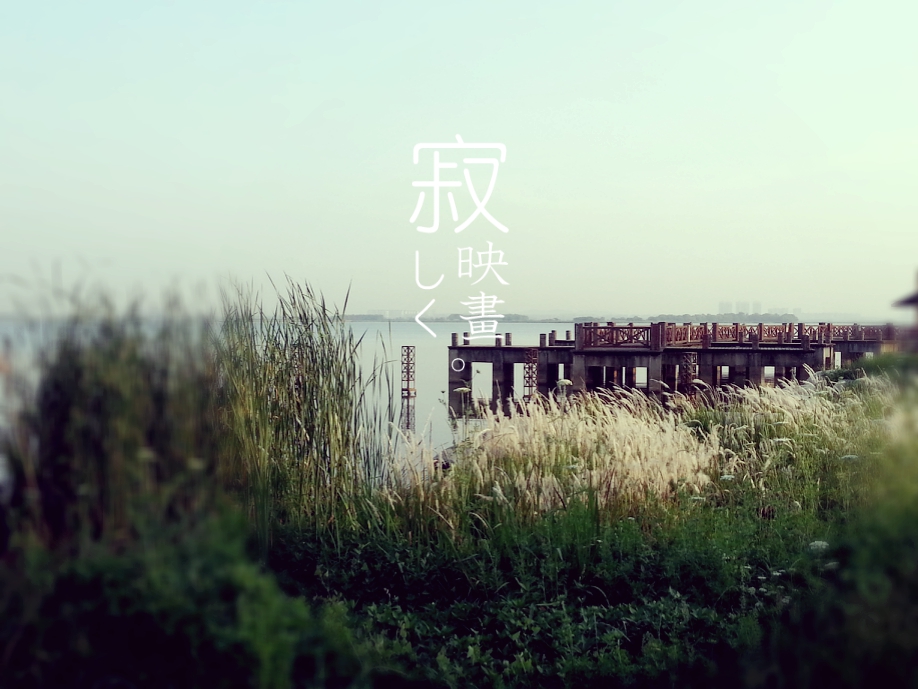 MA201305140635130034-41-28d000.jpg