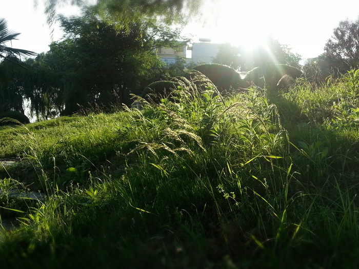 MA201305130657310064-41-000000s.jpg