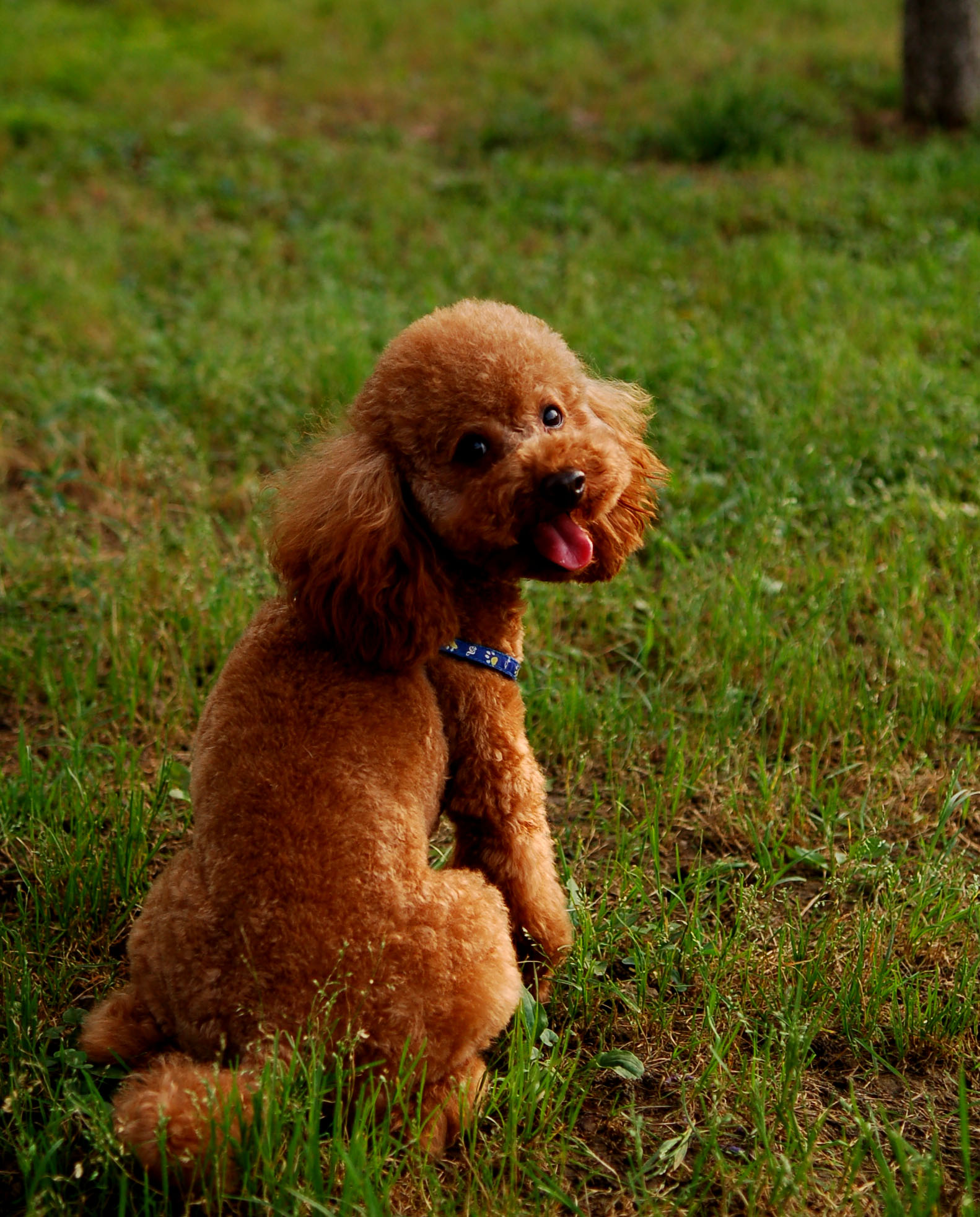 DSC_0021.jpg