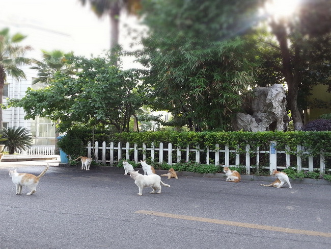 MA201305111725550022-41-000000_С.jpg