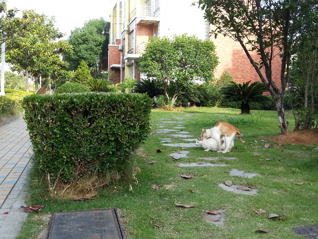 MA201305111717290051-41-000000.jpg