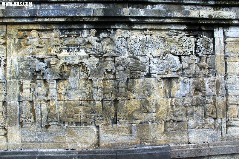 IMG_4894.jpg