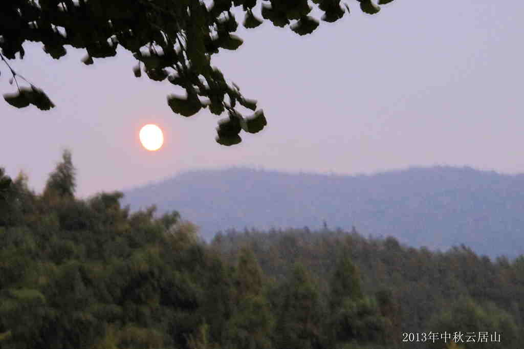 IMG_3269_.jpg