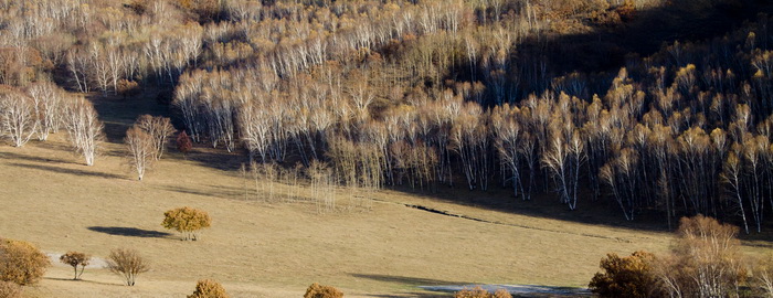 _MG_1589a.jpg