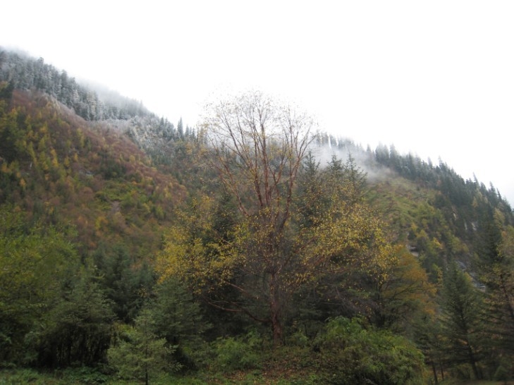 QQͼƬ20131106220907.jpg
