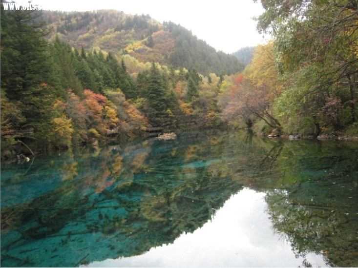 QQͼƬ20131106221546.jpg
