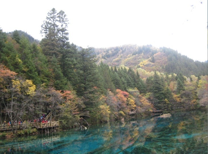 QQͼƬ20131106221610.jpg
