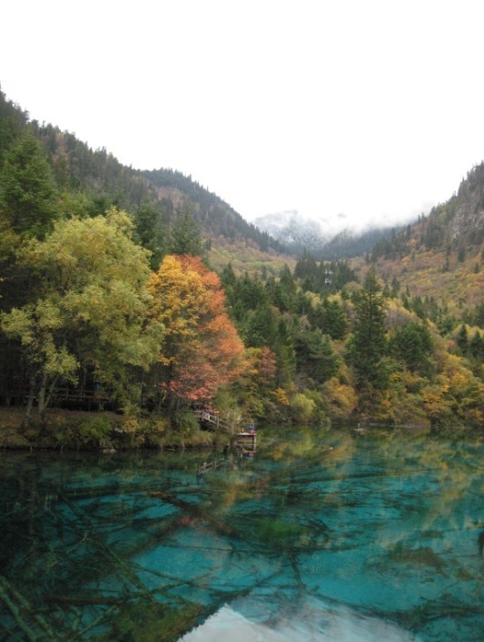 QQͼƬ20131106221650.jpg