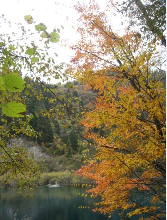 QQͼƬ20131106221839.jpg