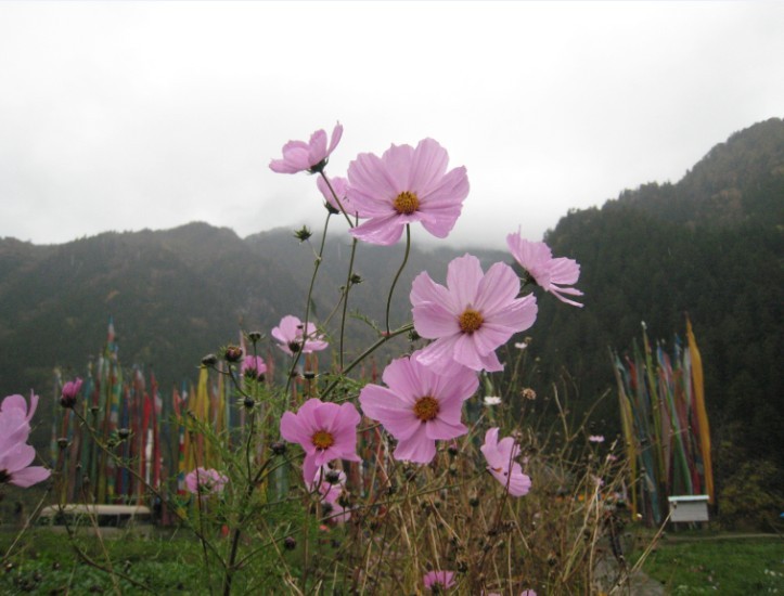 QQͼƬ20131107190721.jpg