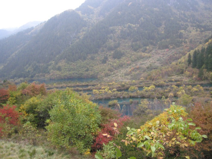 QQͼƬ20131107190811.jpg