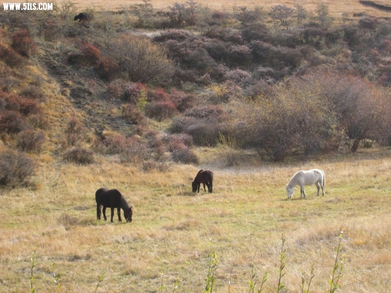 QQͼƬ20131110181413.jpg